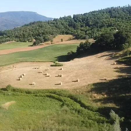 Raggiale 3*