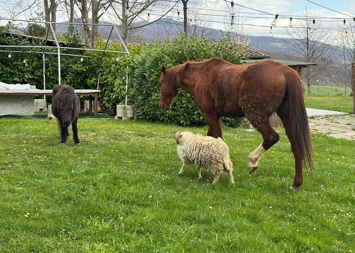 Raggiale San Silvestro (Forli-Cesena)